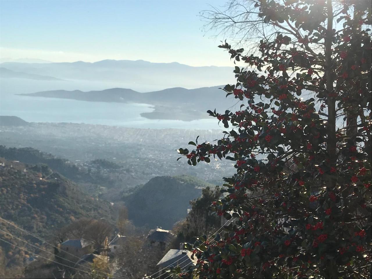 1822 Makrinitsa Suites Esterno foto